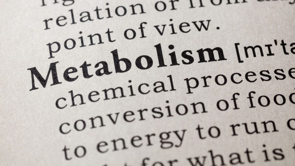 Pogrubione słowo metabolizm, widoczne w książce z jego definicją.